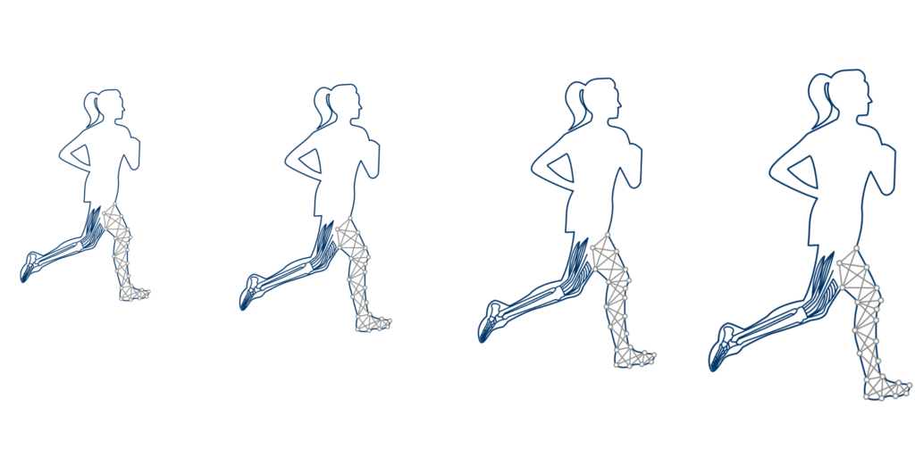 Biomechanical Motion Analysis and Creation