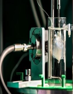 Towards entry "Building a test bench for evaluating process behavior and system identification in a Bioreactor"