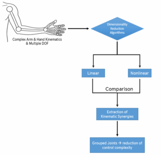 Potential Pipeline for Methods Comparison and Kinematics Synergy Extraction