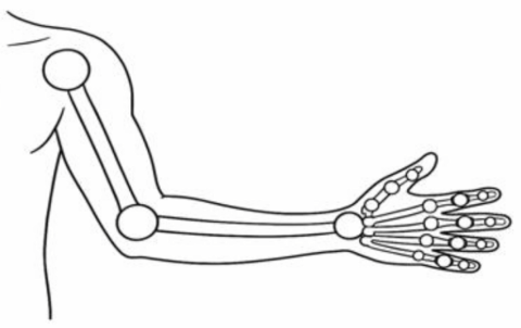 Symbolbild zum Artikel. Der Link öffnet das Bild in einer großen Anzeige.